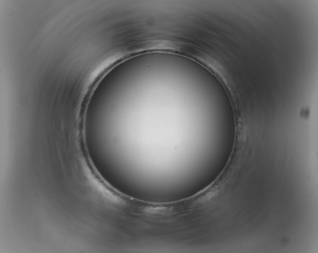 X0000113621135200909251200