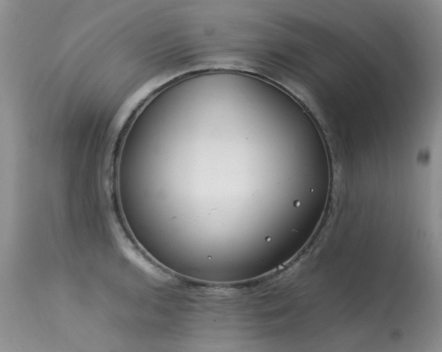 X0000113621136200909251200