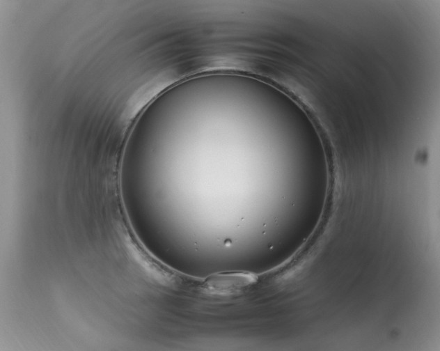 X0000113621137200909251200