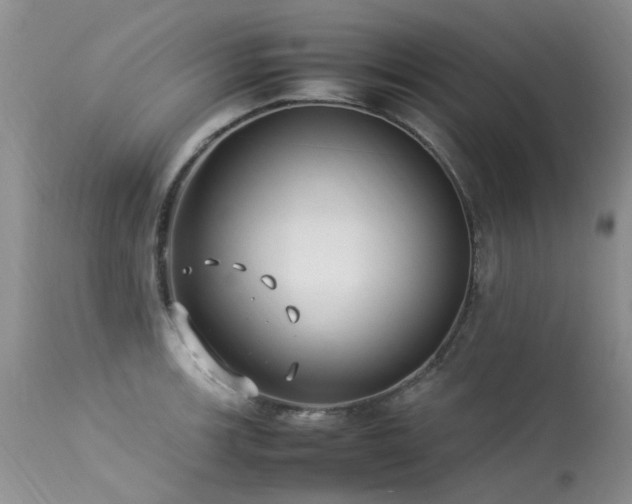 X0000113621139200909251200