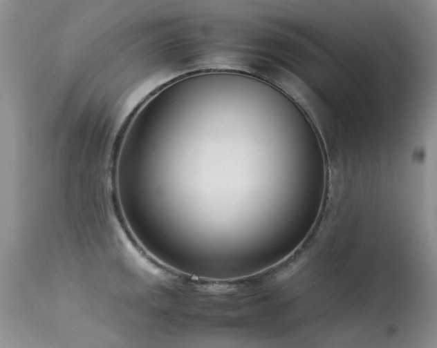 X0000113621141200909251200