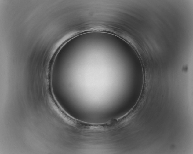 X0000113621142200909251200