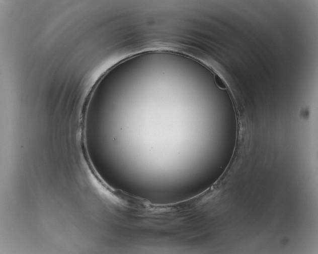 X0000113621143200909251200