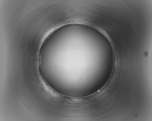 X0000113621144200909251200