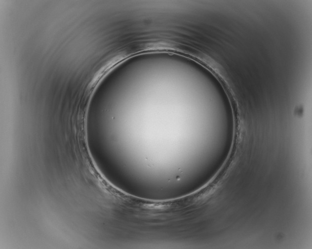 X0000113621145200909251200