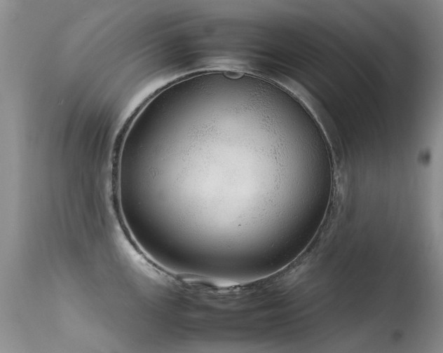 X0000113621147200909251200