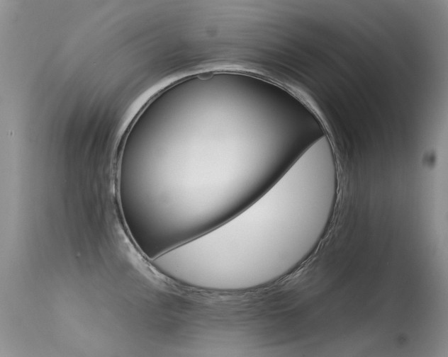 X0000113621148200909251200