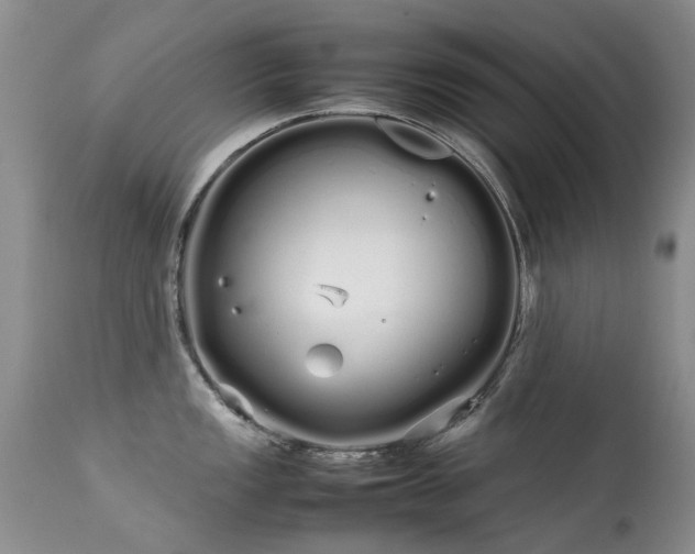 X0000113621149200909251200