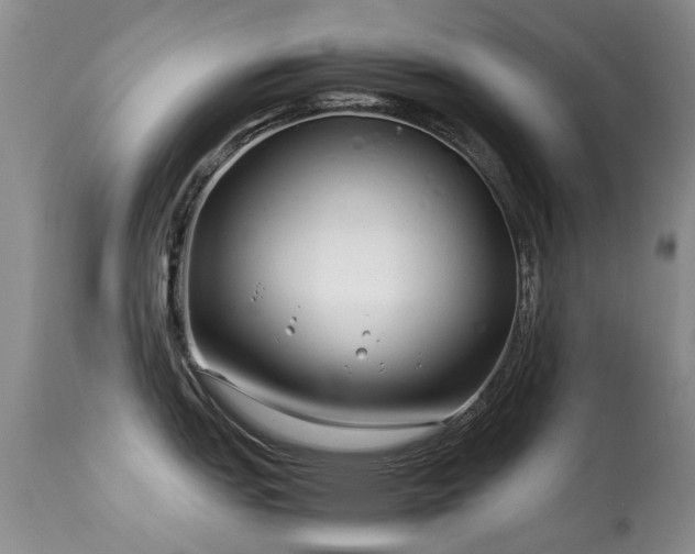 X0000113621151200909251200