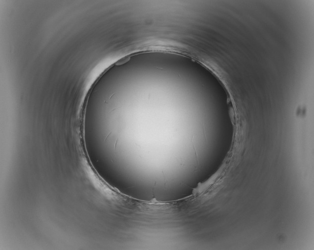 X0000113621152200909251200