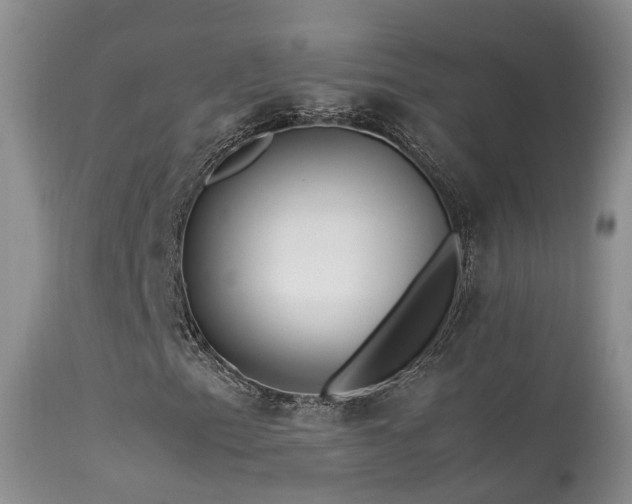 X0000113621153200909251159