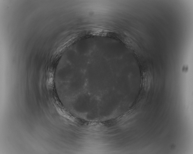 X0000113621154200909251159