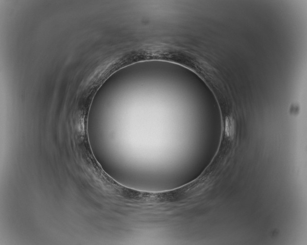 X0000113621155200909251159