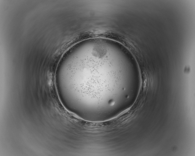 X0000113621156200909251159