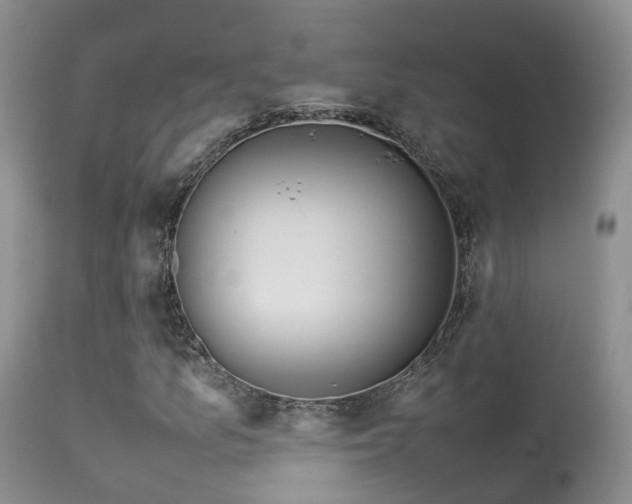 X0000113621157200909251159