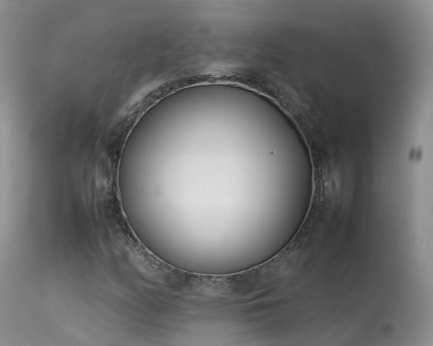 X0000113621158200909251159