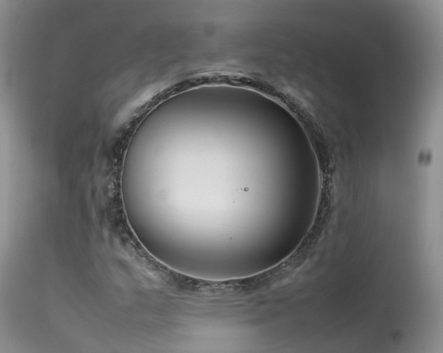 X0000113621159200909251159