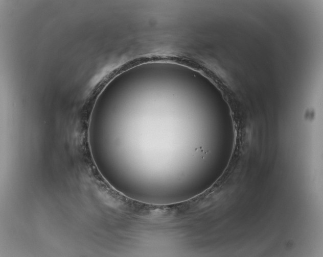 X0000113621160200909251159