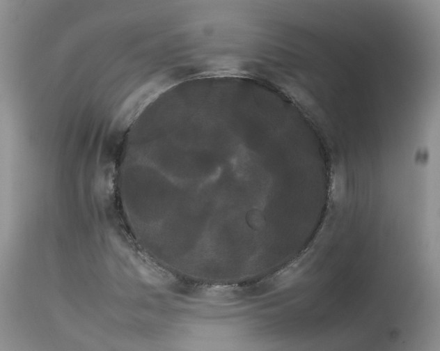 X0000113621161200909251159