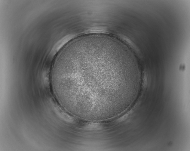 X0000113621162200909251159