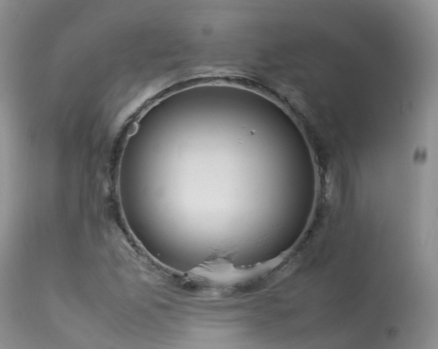 X0000113621165200909251159