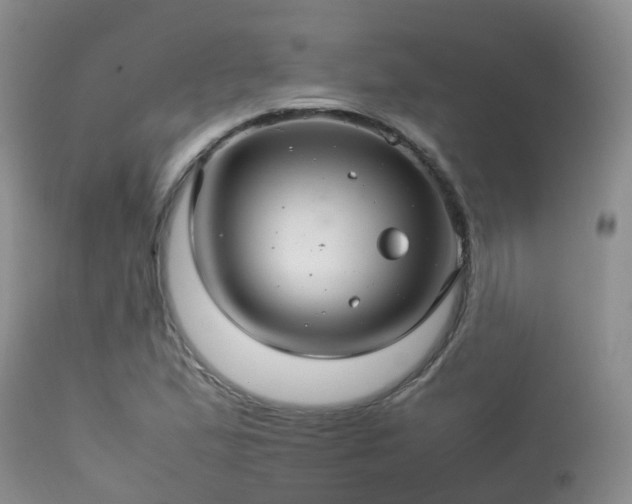 X0000113621167200909251159