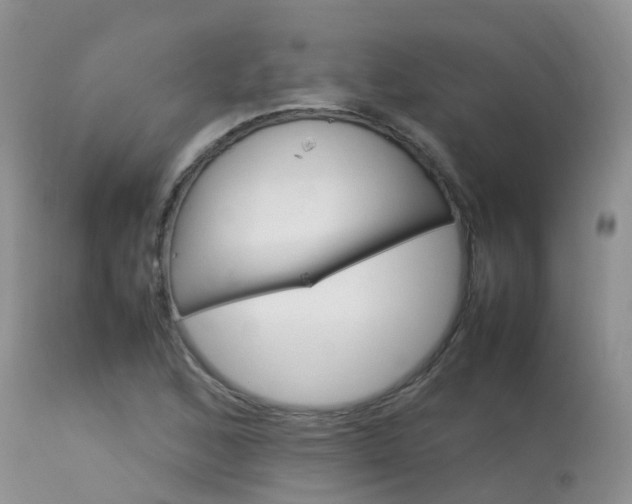 X0000113621168200909251159