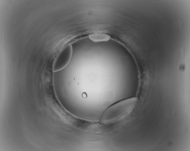 X0000113621169200909251159