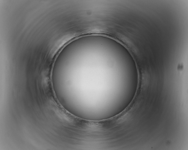 X0000113621170200909251159