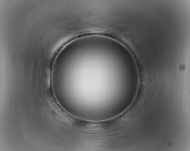 X0000113621171200909251159