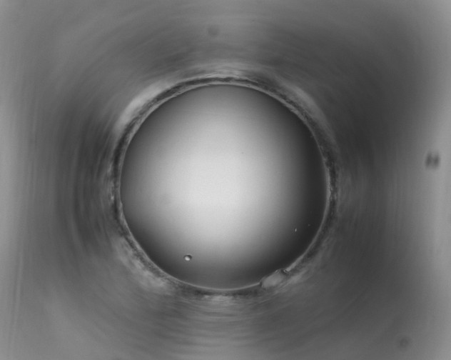 X0000113621172200909251159