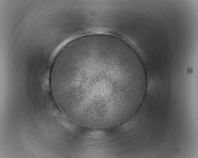 X0000113621174200909251159