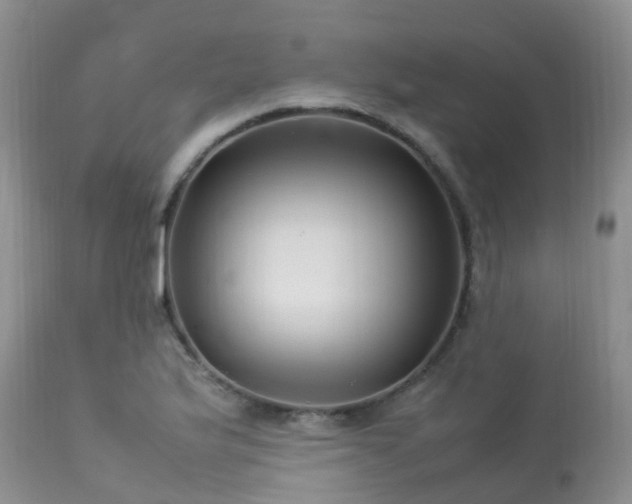 X0000113621175200909251159