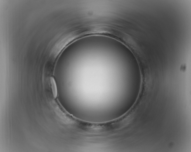 X0000113621177200909251159