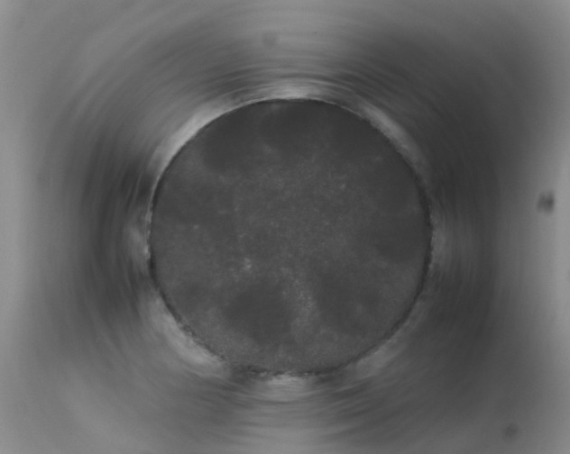 X0000113621178200909251159