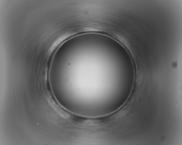 X0000113621179200909251159