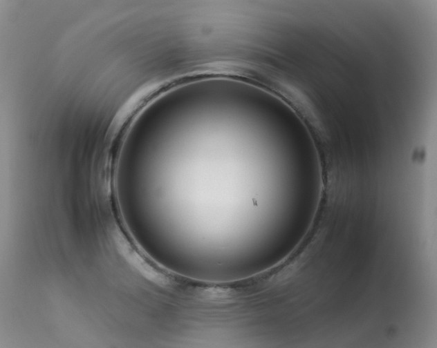 X0000113621180200909251159