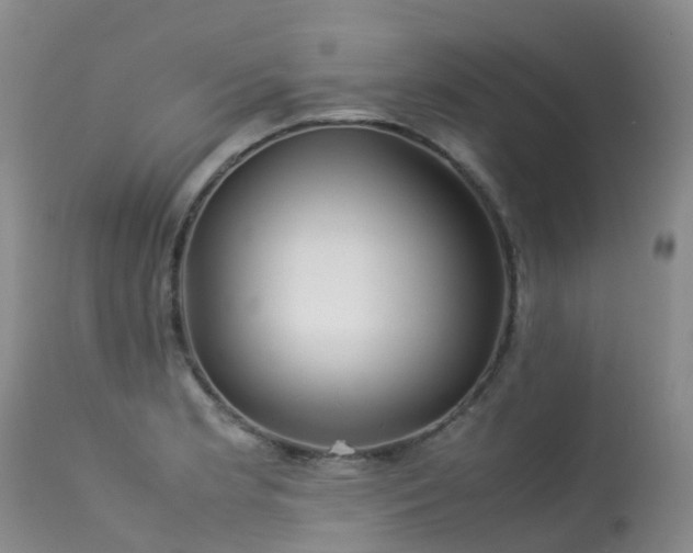 X0000113621181200909251159