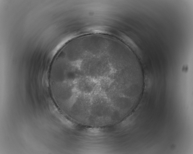 X0000113621182200909251159