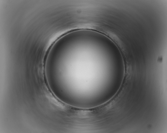 X0000113621184200909251159