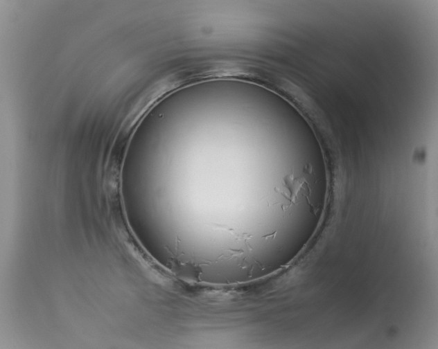 X0000113621185200909251159