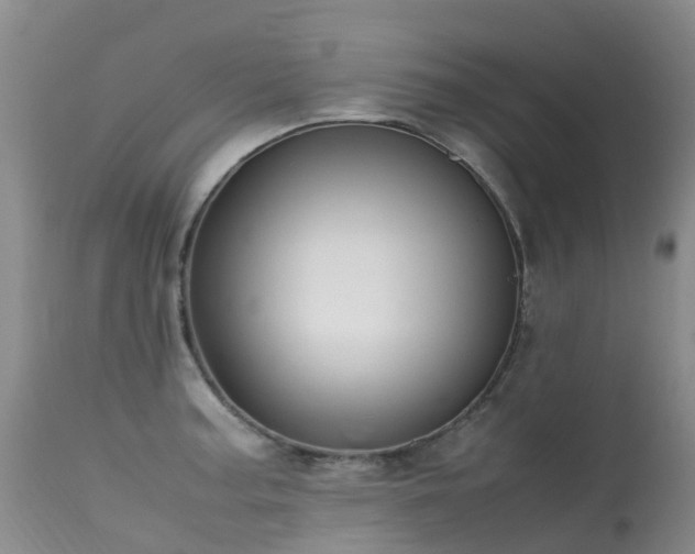 X0000113621187200909251159