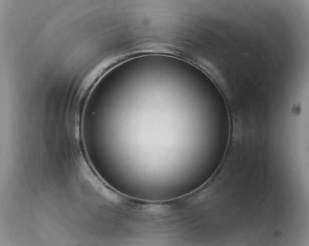 X0000113621188200909251159