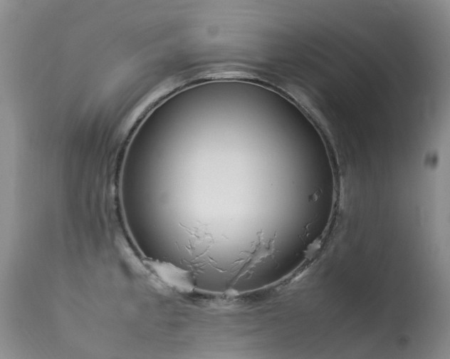 X0000113621189200909251159