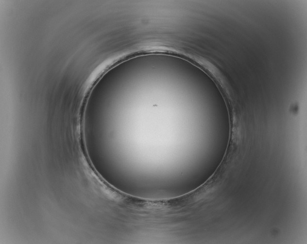 X0000113621191200909251159