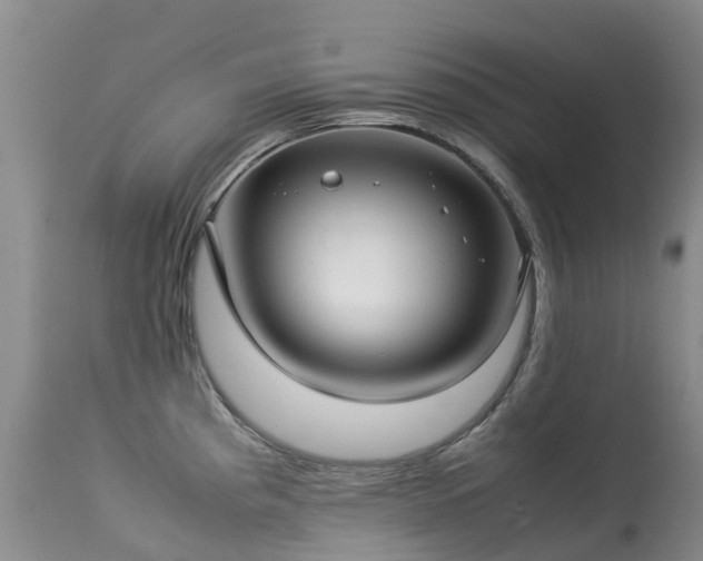 X0000113621193200909251159