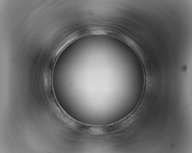 X0000113621194200909251159