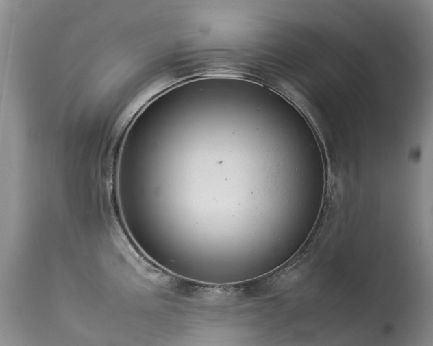 X0000113621195200909251159