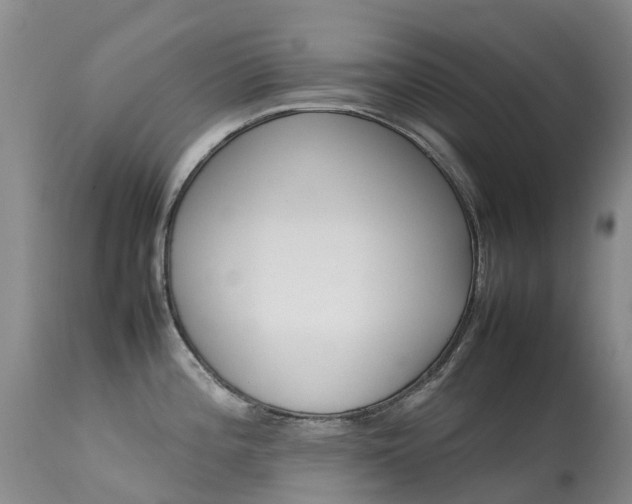 X0000113621196200909251159