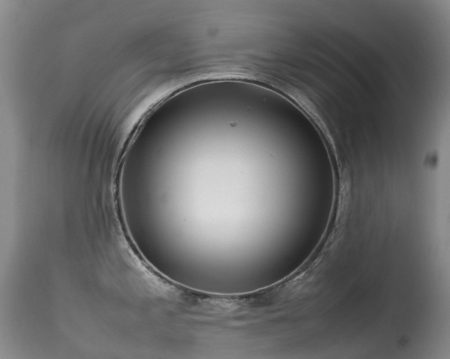 X0000113621197200909251159